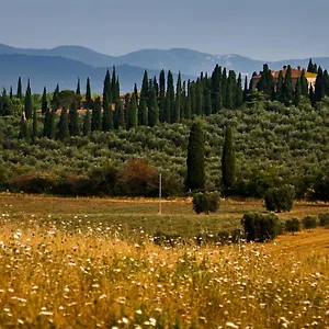 Tenuta Di Poggio Cavallo Italia